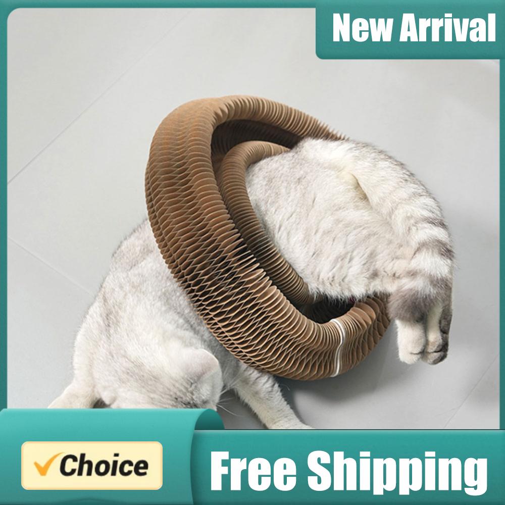 Cat Tunnel Toy - Magiczna Organowa Mata do Drapania dla