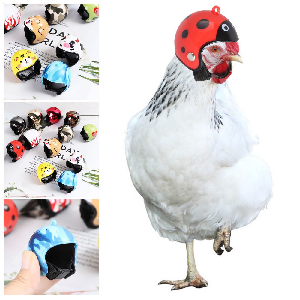 Pet X Supplies & Tack Reviews - Zabawne akcesoria dla zwierząt ABS, ochronne