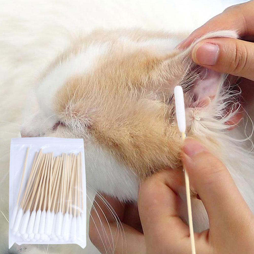50/100 PCS Waciki do czyszczen – Pet Ear Cleaner recenzja i cena
