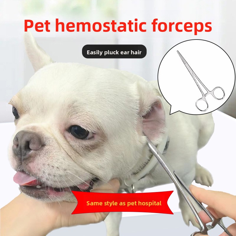 Szczypce do usuwania sierści z – Pet Ear Cleaner recenzja i cena