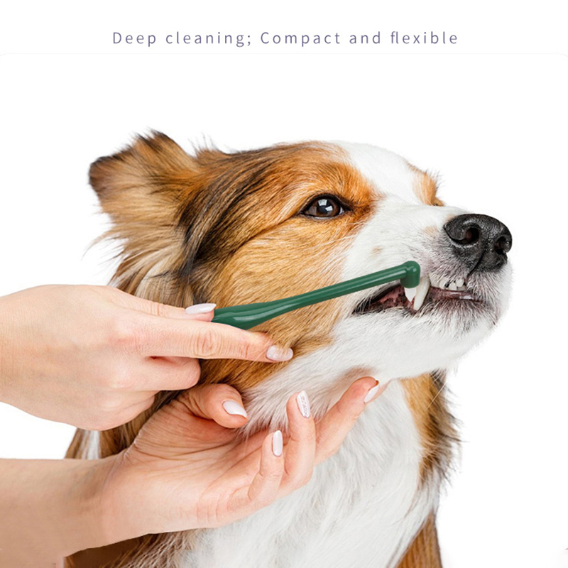Szczoteczka do zębów dla psa i – Pet Supplies Plus recenzja i cena