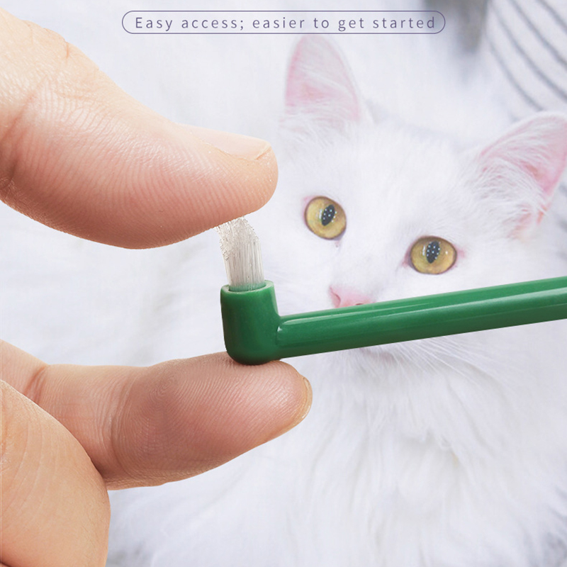 Szczoteczka do zębów dla psa i – Pet Supplies Plus recenzja i cena