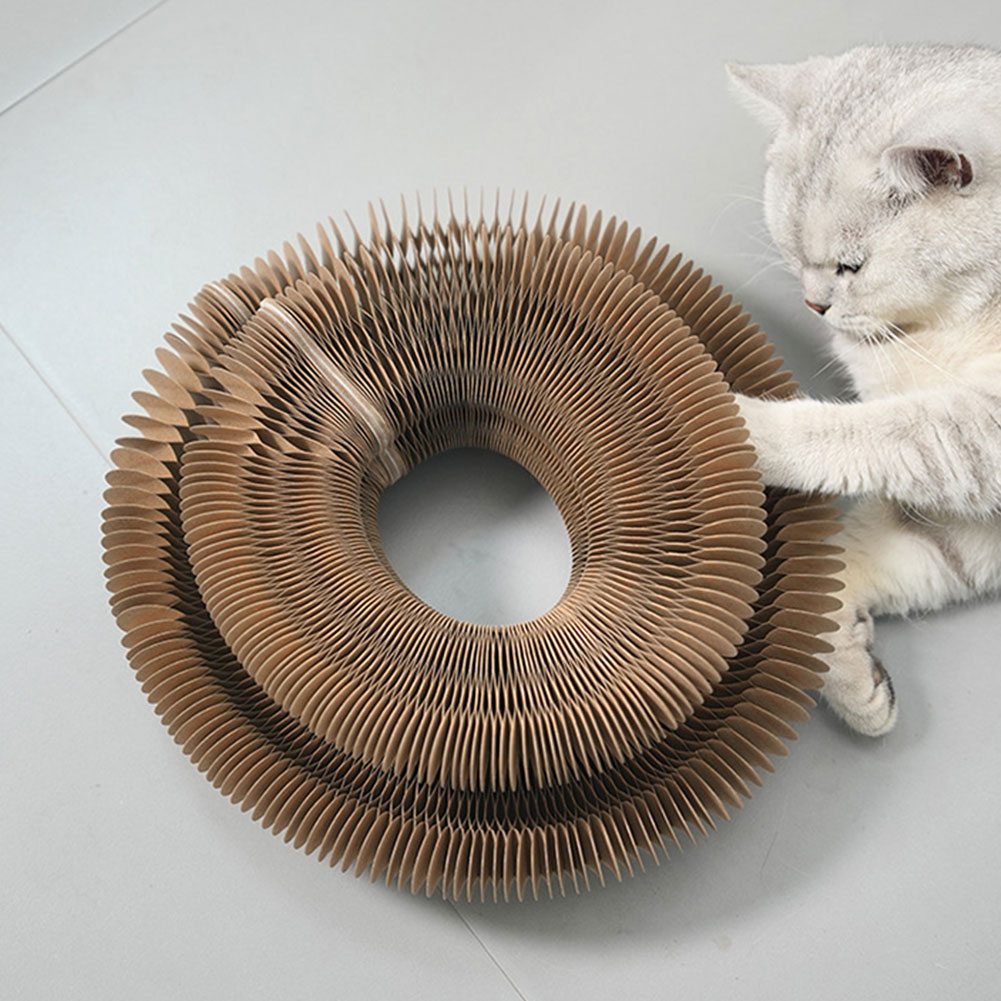 Magiczna Organowa Mata do Drap – Cat Tunnel Toy recenzja i cena