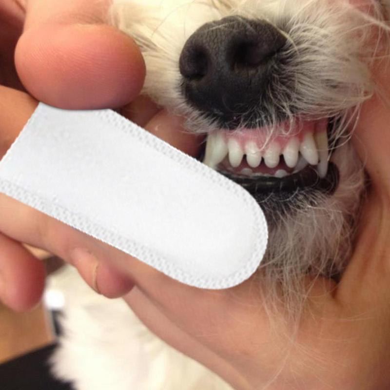 50Pcs Presoaked Pet Wipes Dog  – Pet Ear Cleaner recenzja i cena