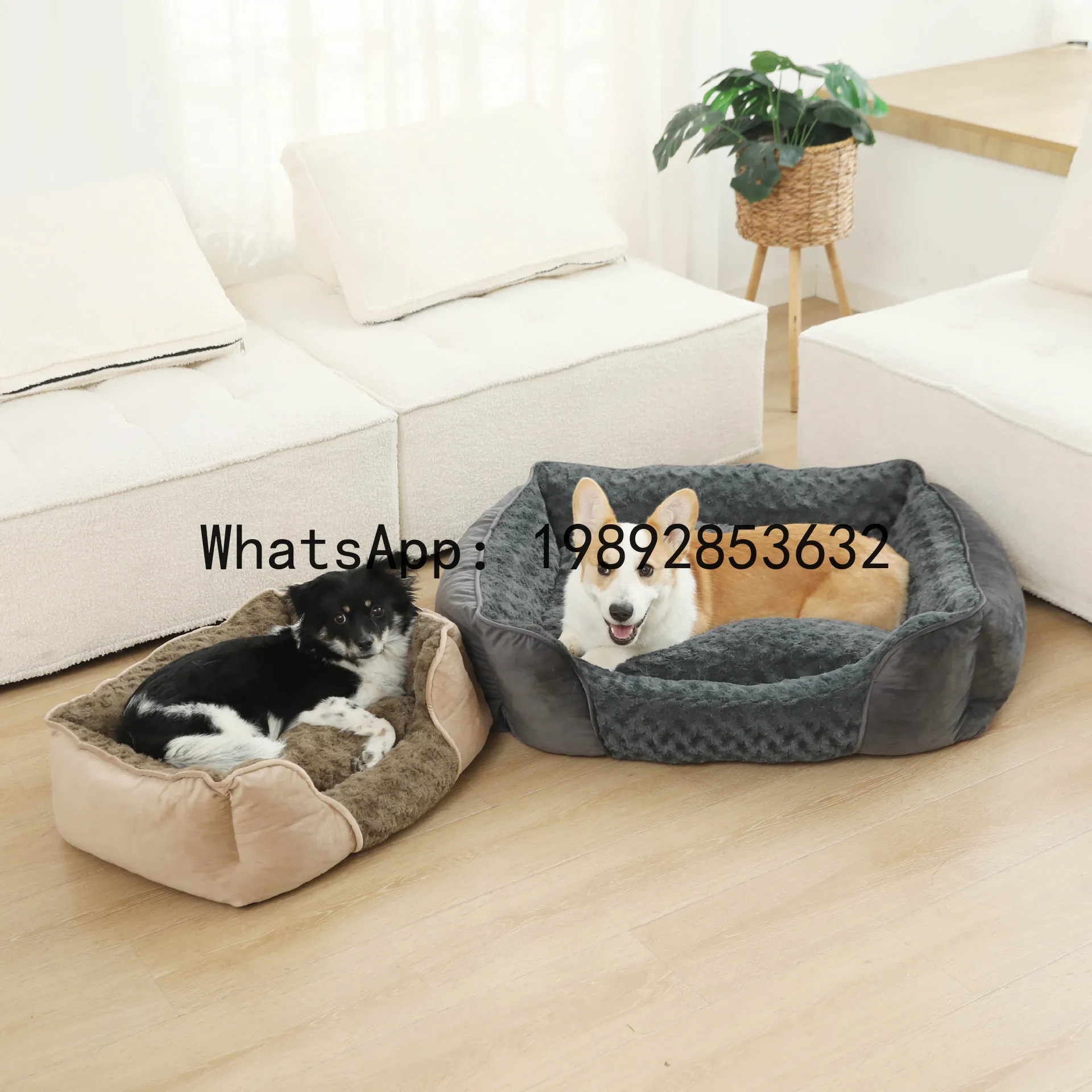 X domek dla kota, półzamknięta – Pet X Supplies & Tack Reviews recenzja i cena