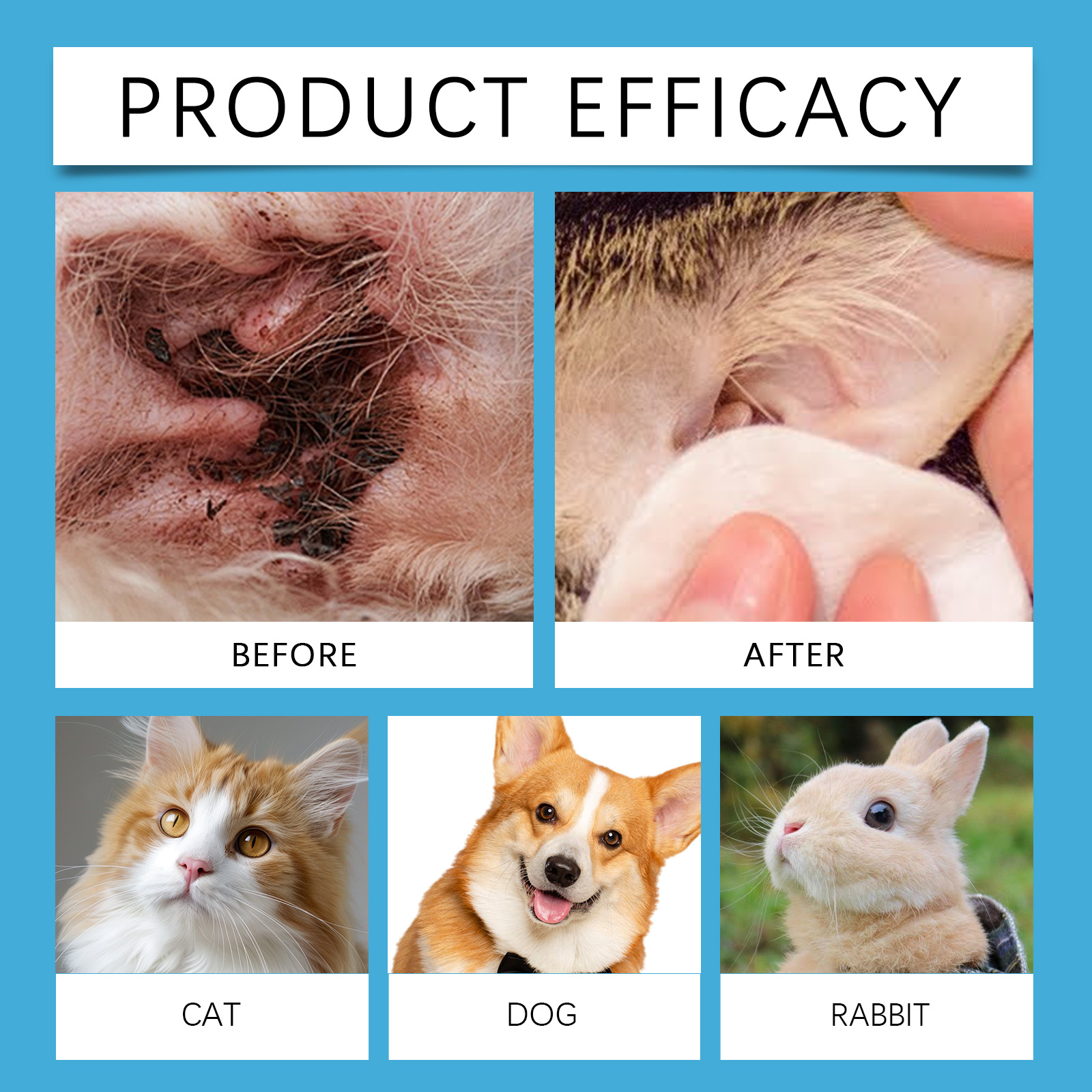 Krople do czyszczenia uszu dla – Pet Ear Cleaner recenzja i cena