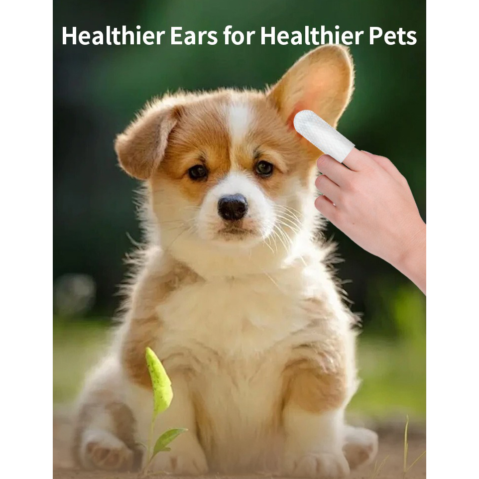Produkty do czyszczenia uszu z – Pet Ear Cleaner recenzja i cena