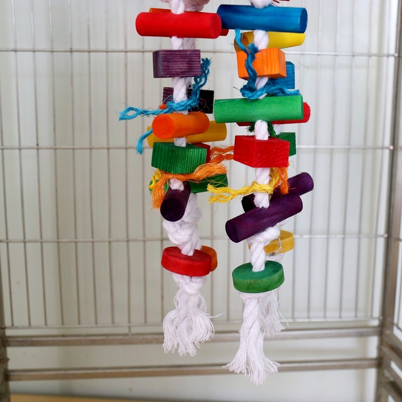 Zabawki dla papug, huśtawka, k – Pet Supplies Plus recenzja i cena