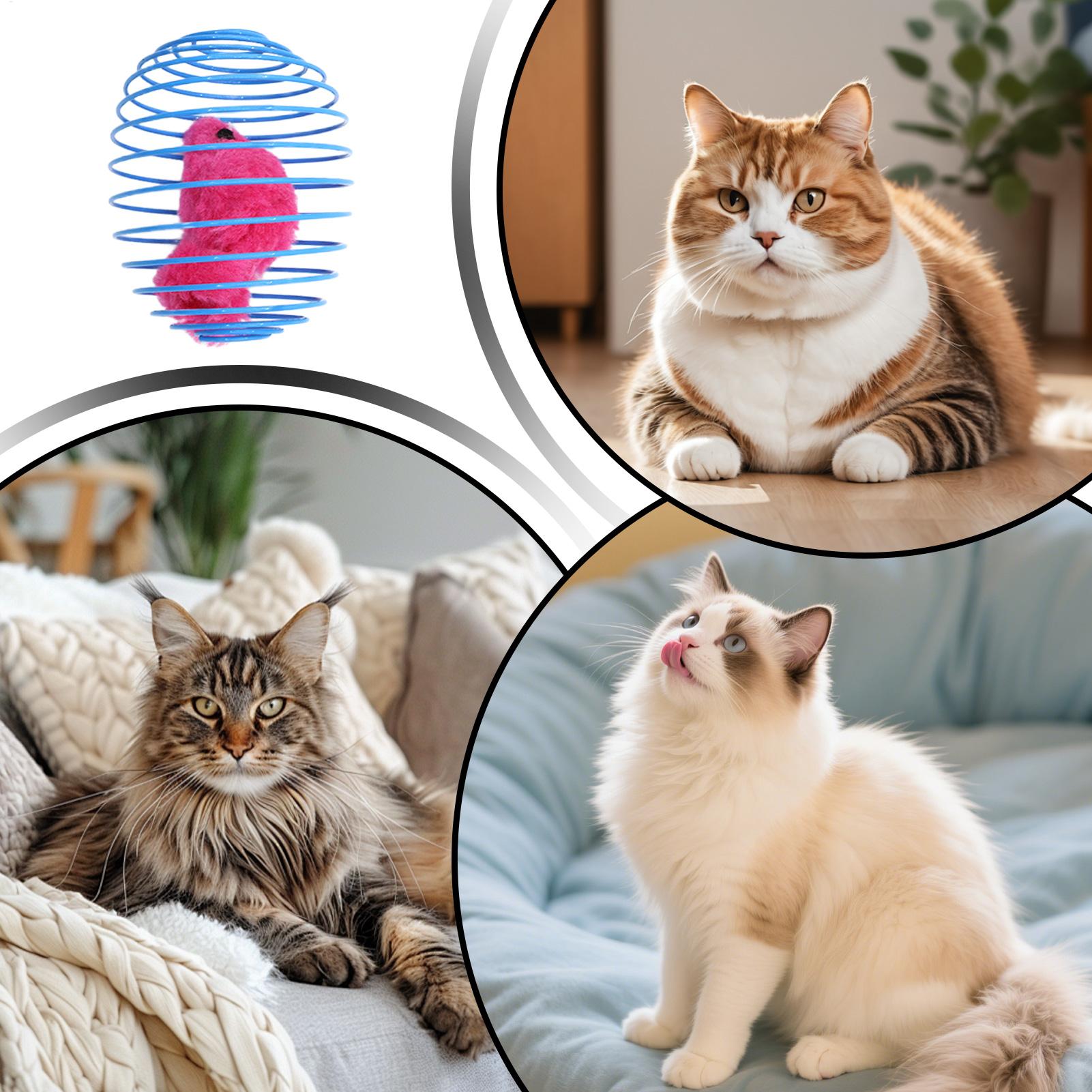 Zabawka Spiralna dla Kota Inte – Cat Tunnel Toy recenzja i cena