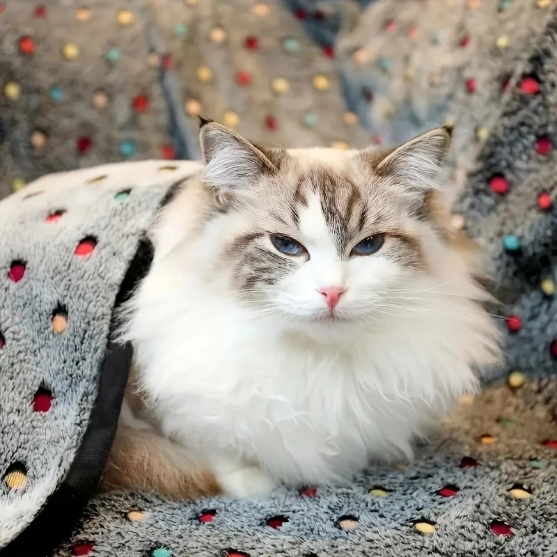 3 SZTUKI Miękki Puszysty Koc d – Pet Supplies Plus recenzja i cena