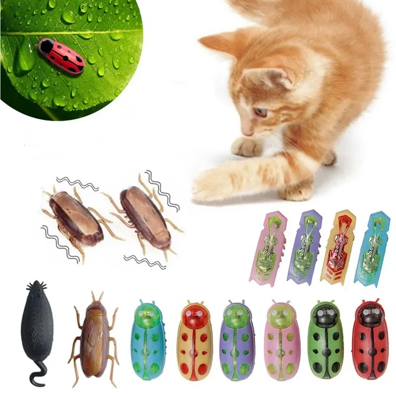 Śmieszne elektryczne robaki za – Cat Tunnel Toy recenzja i cena