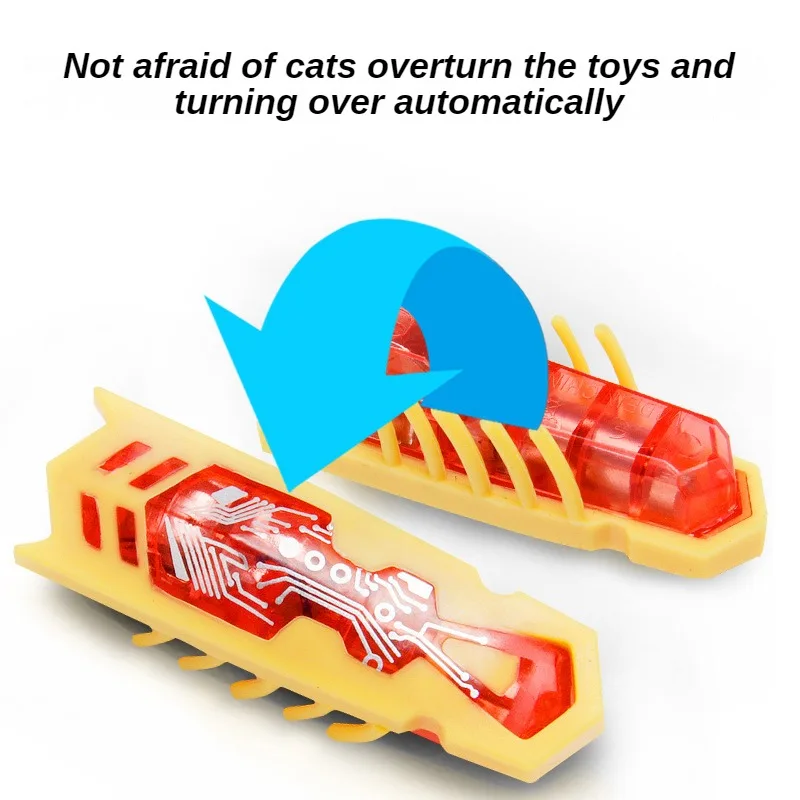Śmieszne elektryczne robaki za – Cat Tunnel Toy recenzja i cena