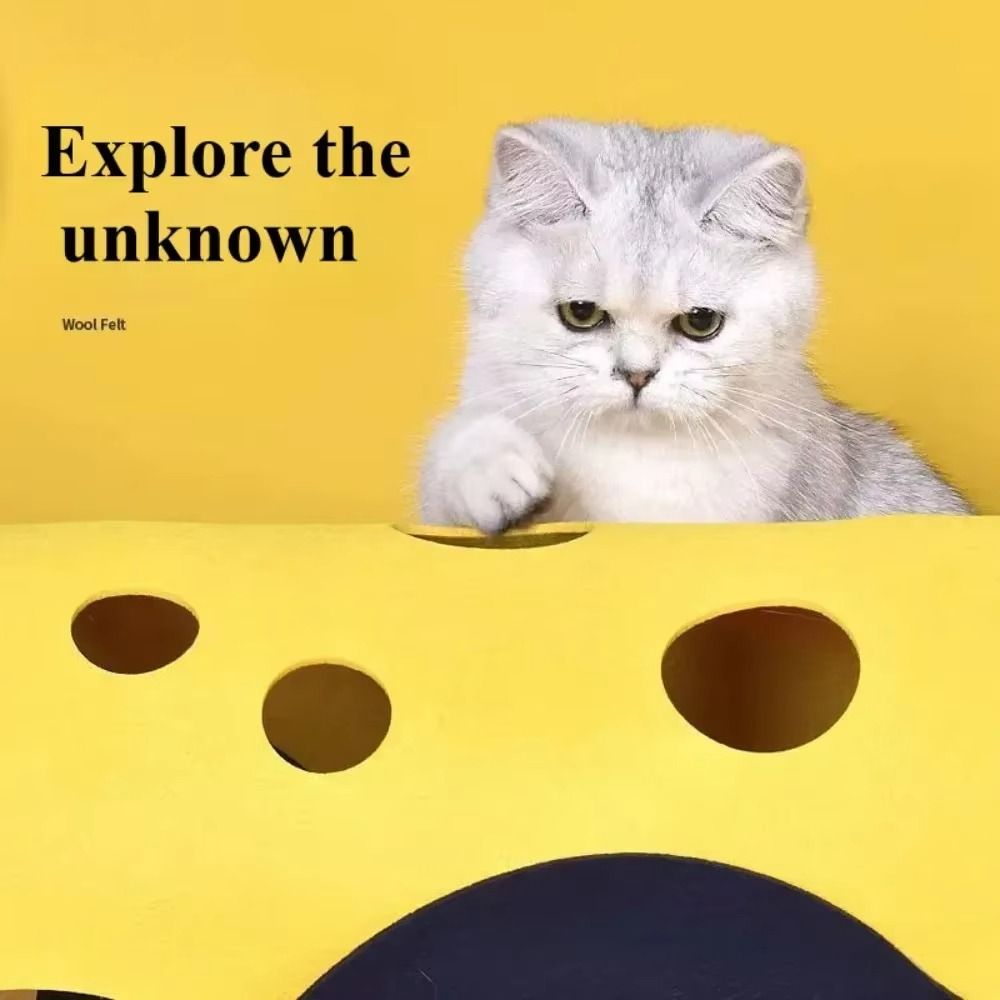 Wytrzymałe Składane Tunelowe L – Cat Tunnel Toy recenzja i cena