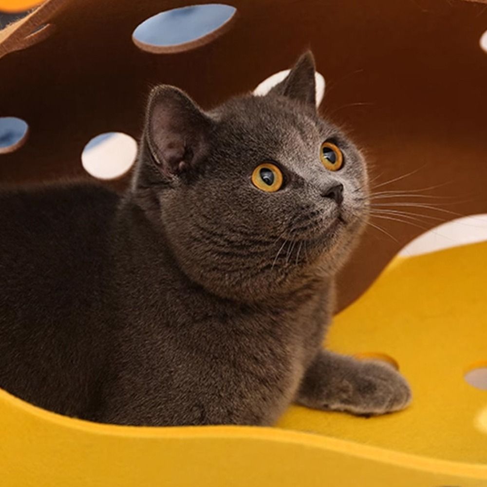 Wytrzymałe Składane Tunelowe L – Cat Tunnel Toy recenzja i cena